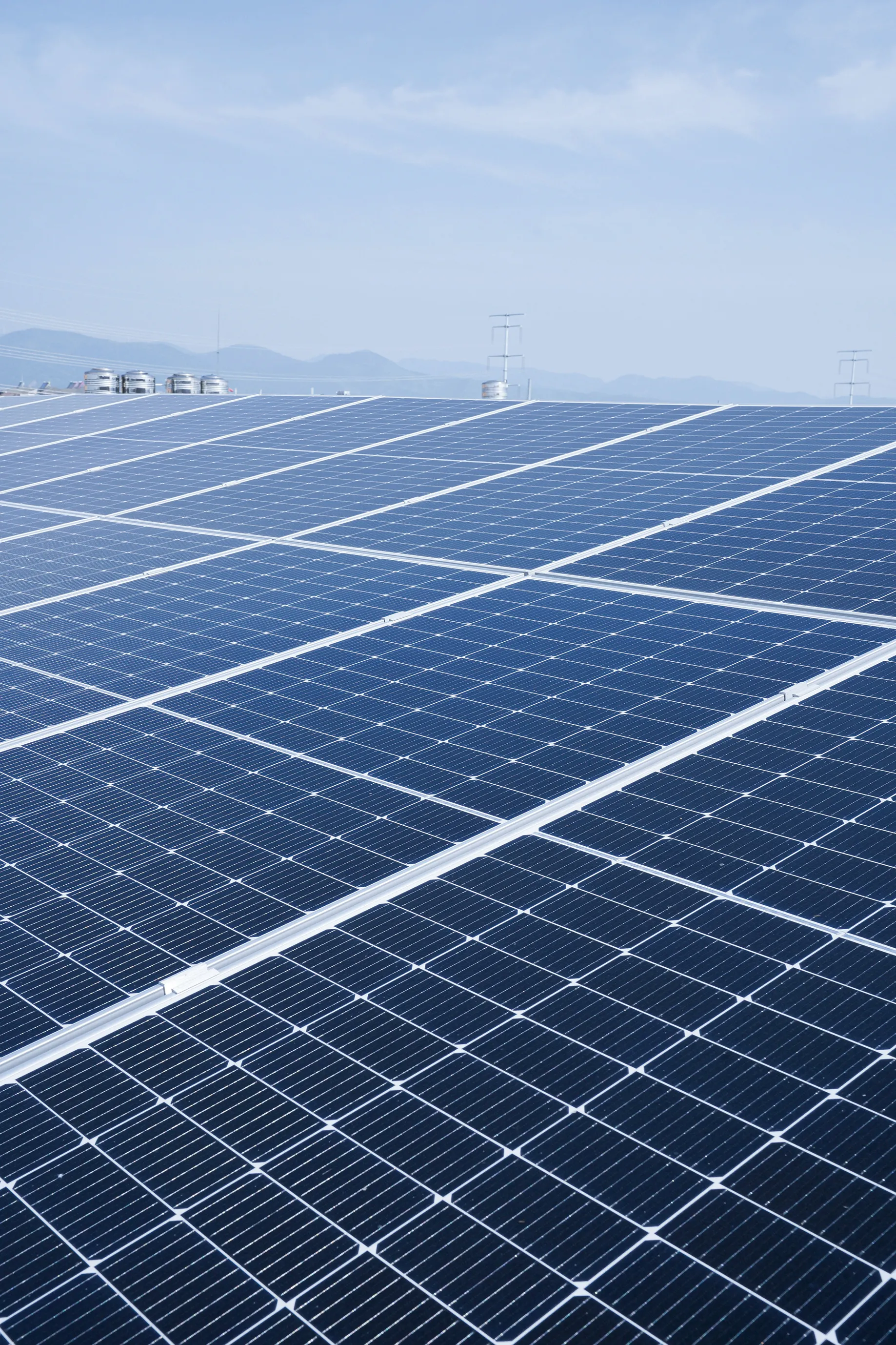 東京都多摩産材等国産木材、輸入木材