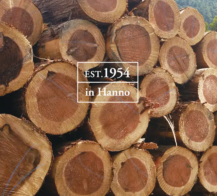 EST:1954 in Hanno